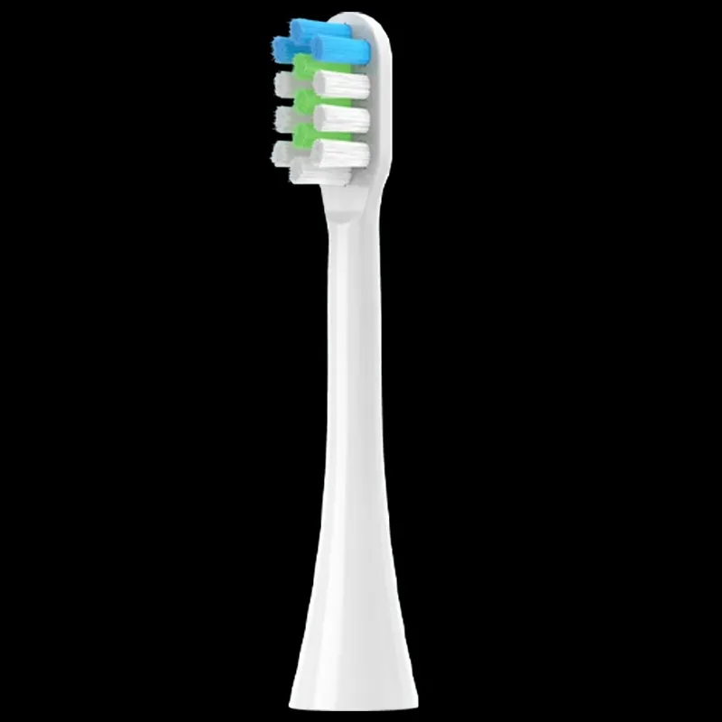 Fly Toothbrush Heads-2