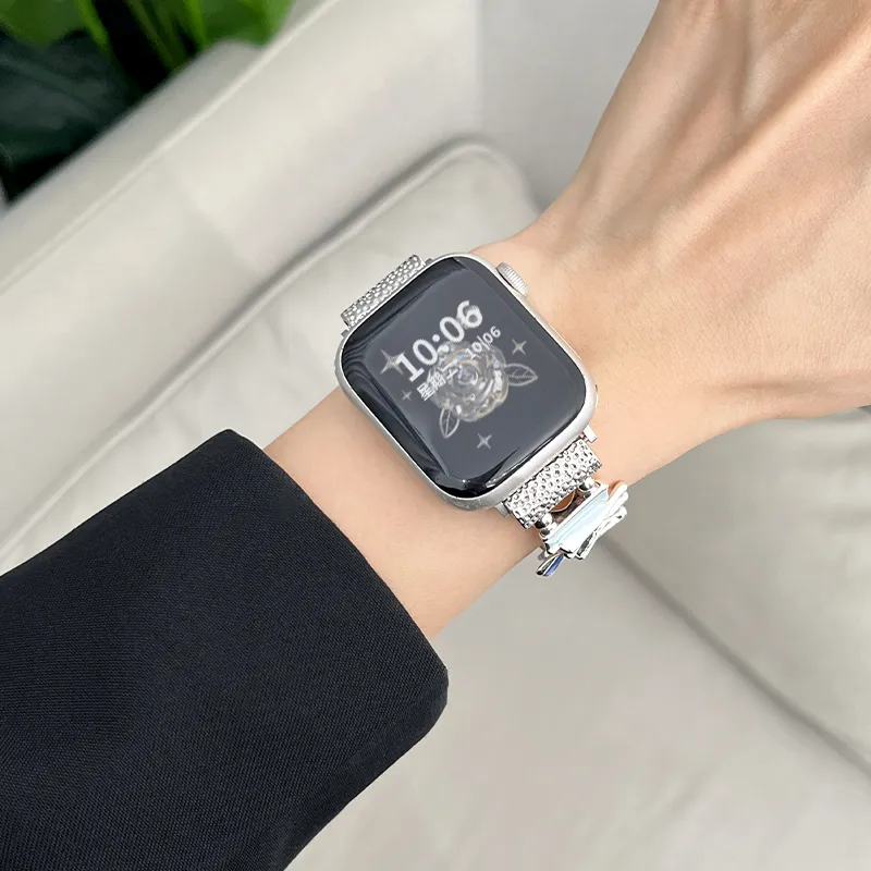 Fly Watch Band Apple Compatibility Metal-1