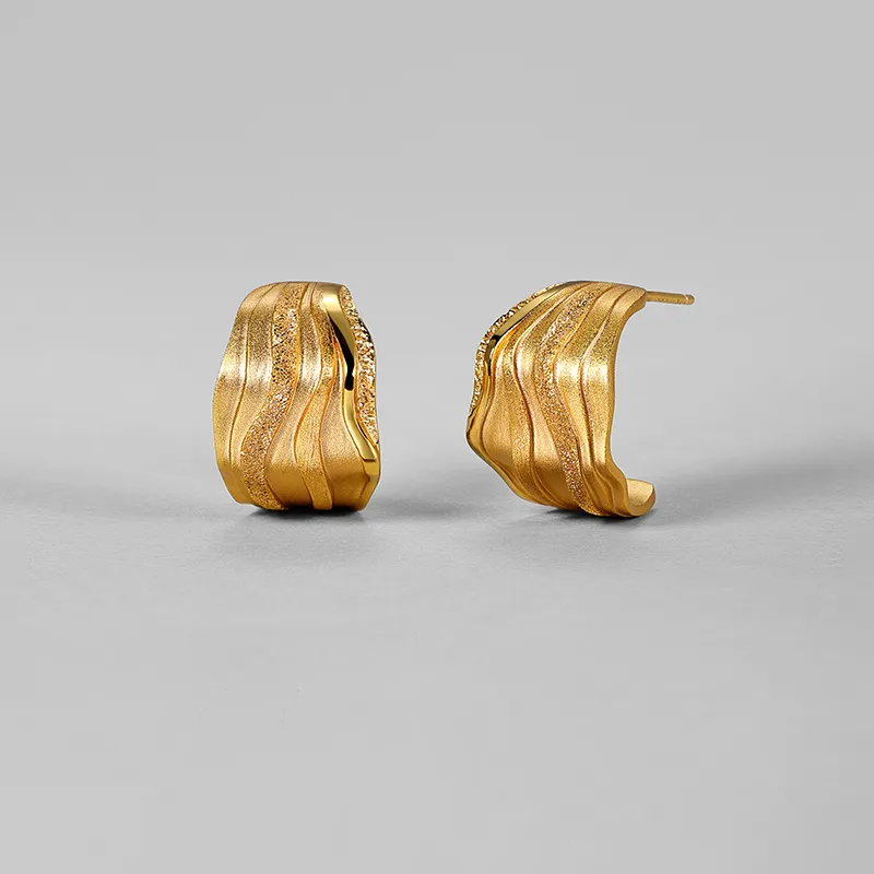 BAILAN BN 925 Sterling Silver Earrings Unisex-2