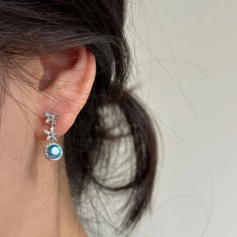 Happy Tide S925 Silver Earrings Women's-2