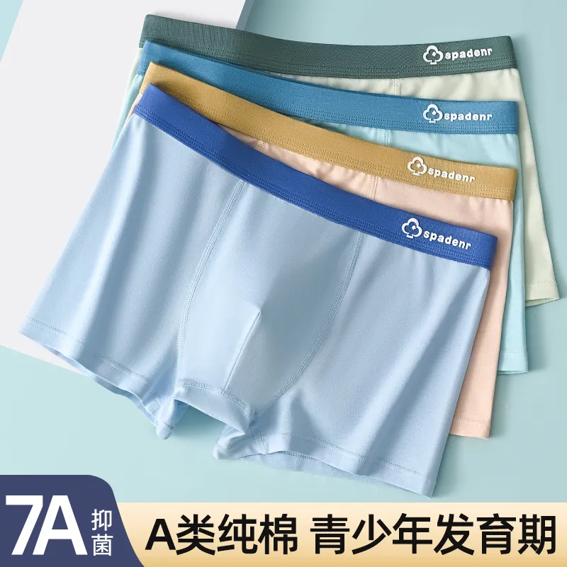 BANDICOOT Underpants Men's 4 Pack-7