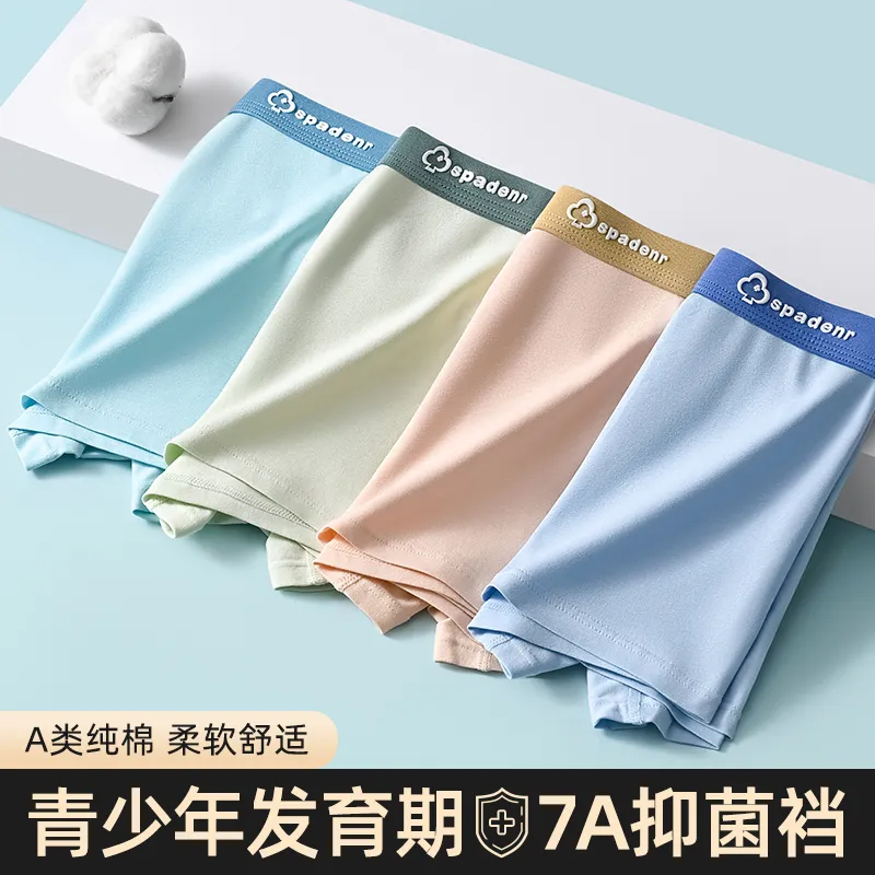 BANDICOOT Underpants Men's 4 Pack-4
