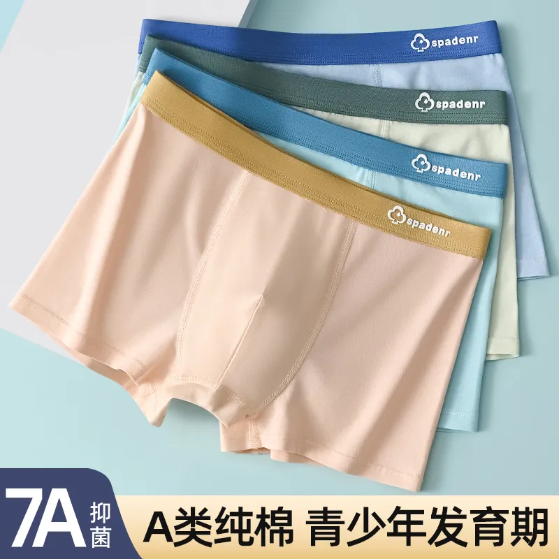 BANDICOOT Underpants Men's 4 Pack-5