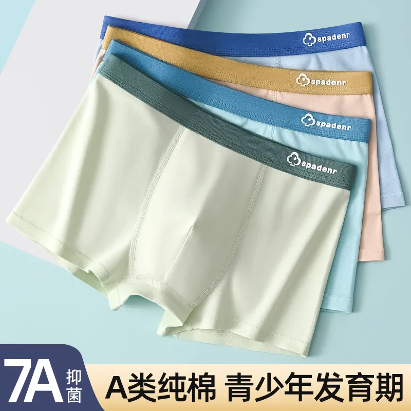 BANDICOOT Underpants Men's 4 Pack-3