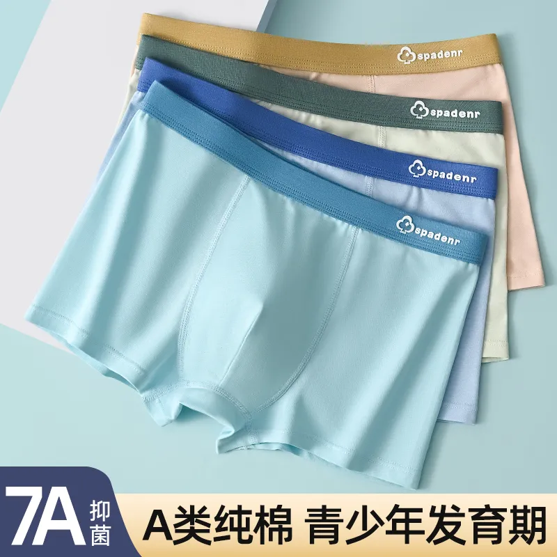 BANDICOOT Underpants Men's 4 Pack-1