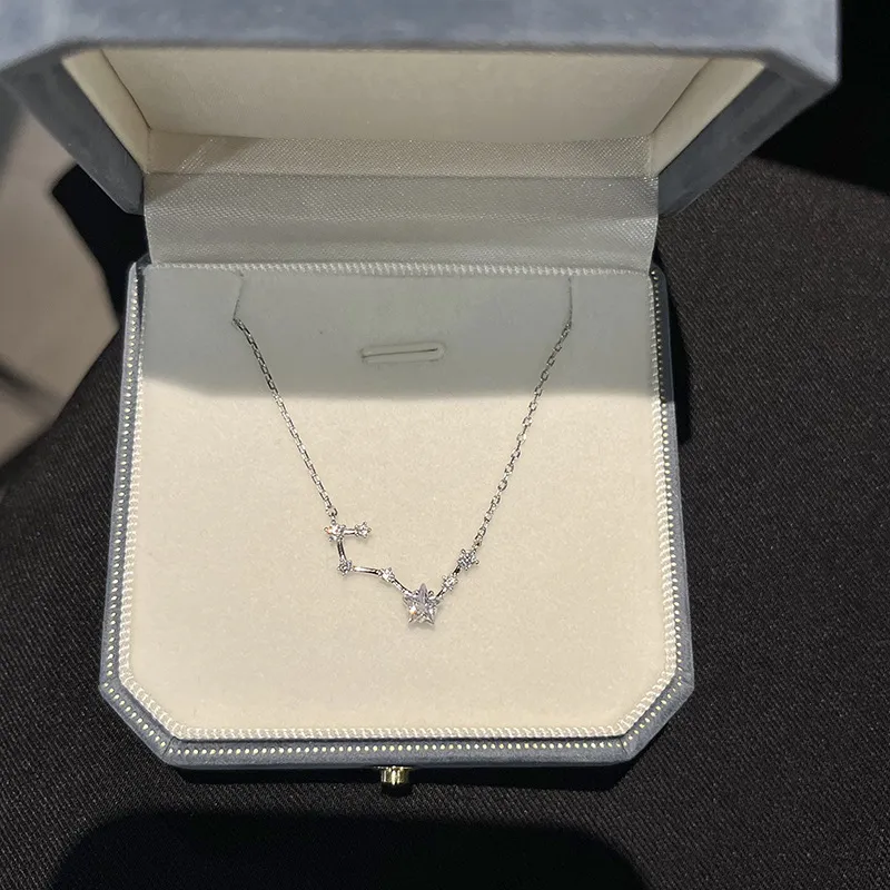 Regalrose S925 Silver Necklaces Women's Silver-1
