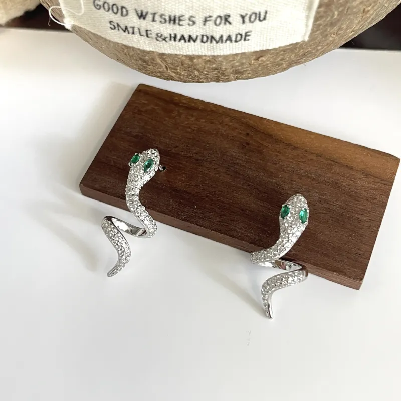 Regalrose S925 Silver Earrings Women's-2