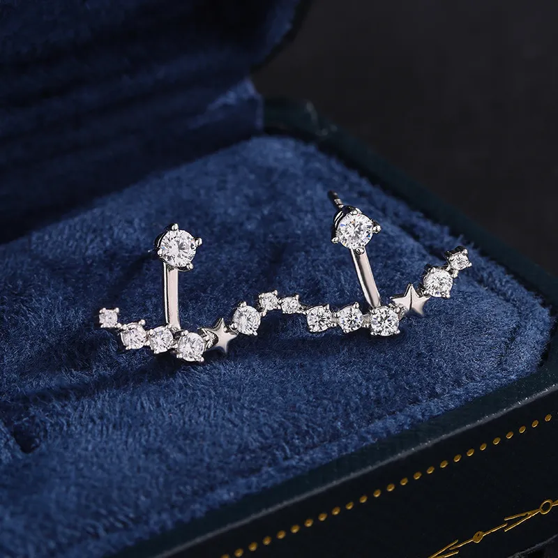 Regalrose S999 Fine Silver Synthetic Cubic Zirconia Earrings Women's-3