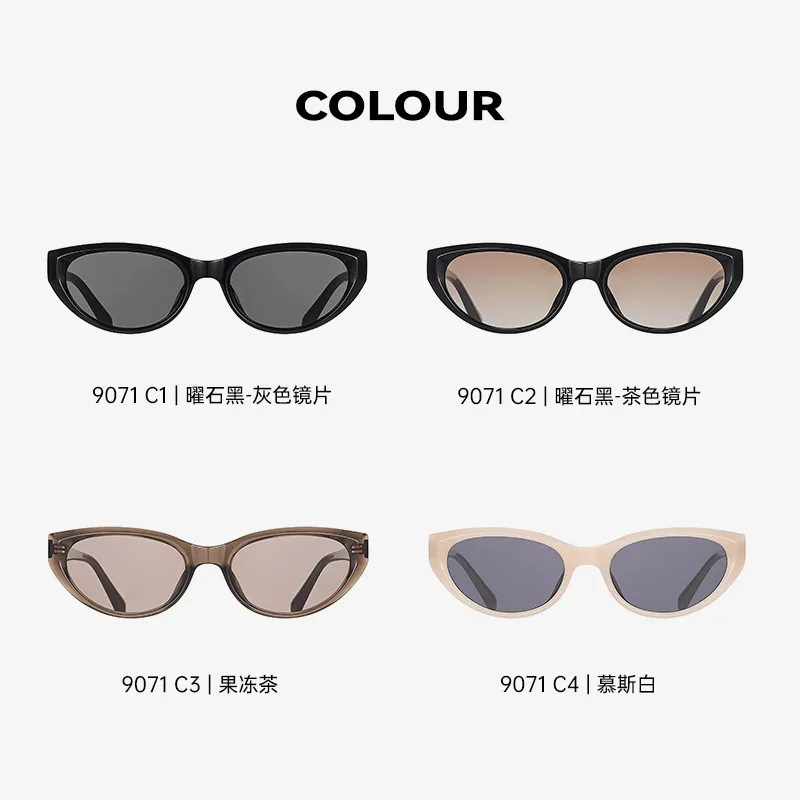 ZIPPO Plate Frame Cat Eye Sunglasses Unisex Black Frame-5