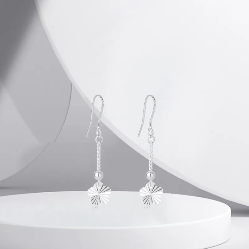 BTOE 990 Silver Earrings Women's-3