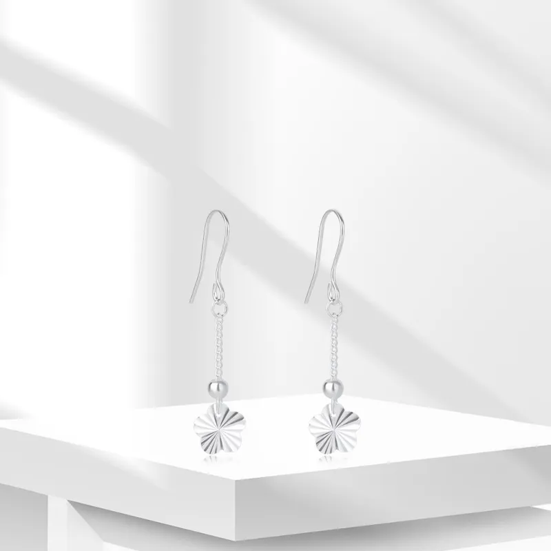 BTOE 990 Silver Earrings Women's-4