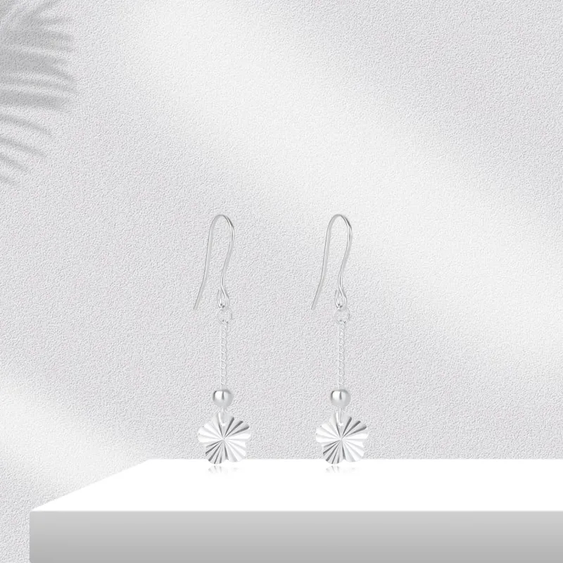 BTOE 990 Silver Earrings Women's-1