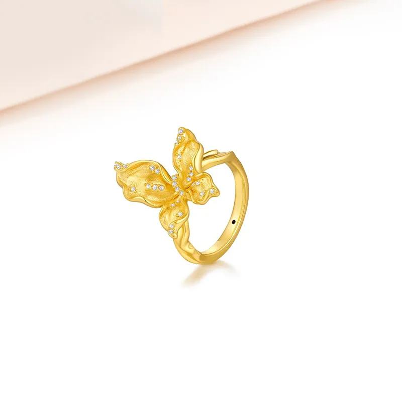 Welcome To The Treasure Alloy Rings Unisex Gold-4