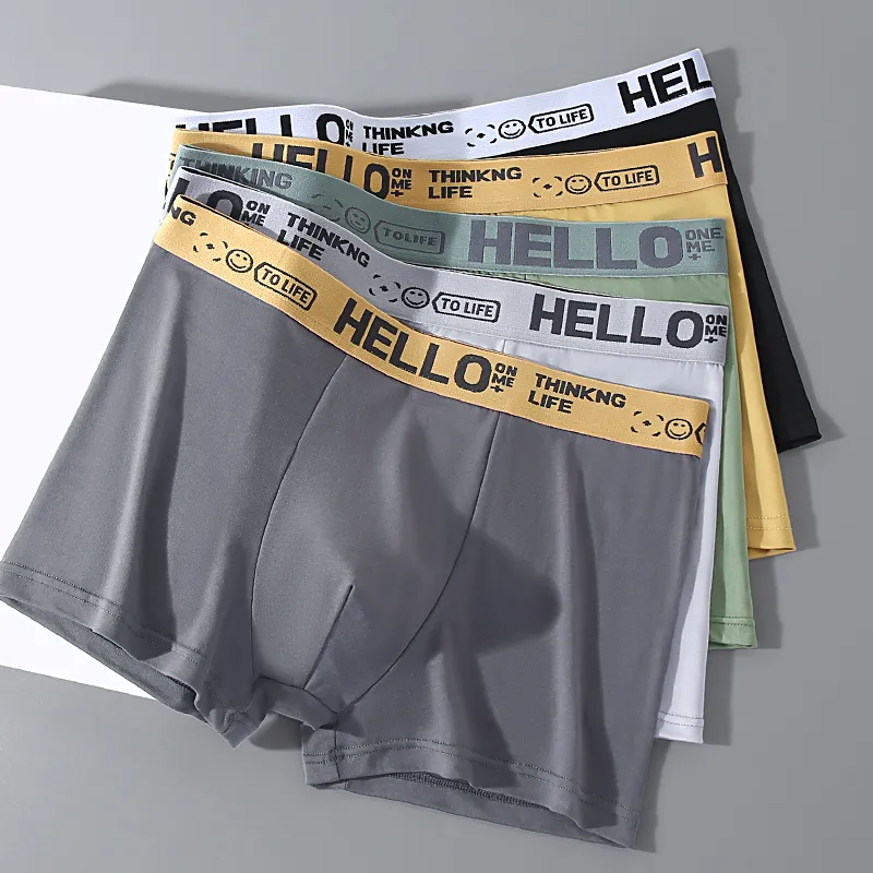 YUZHAOLIN Underpants Men's 4 Pack-8