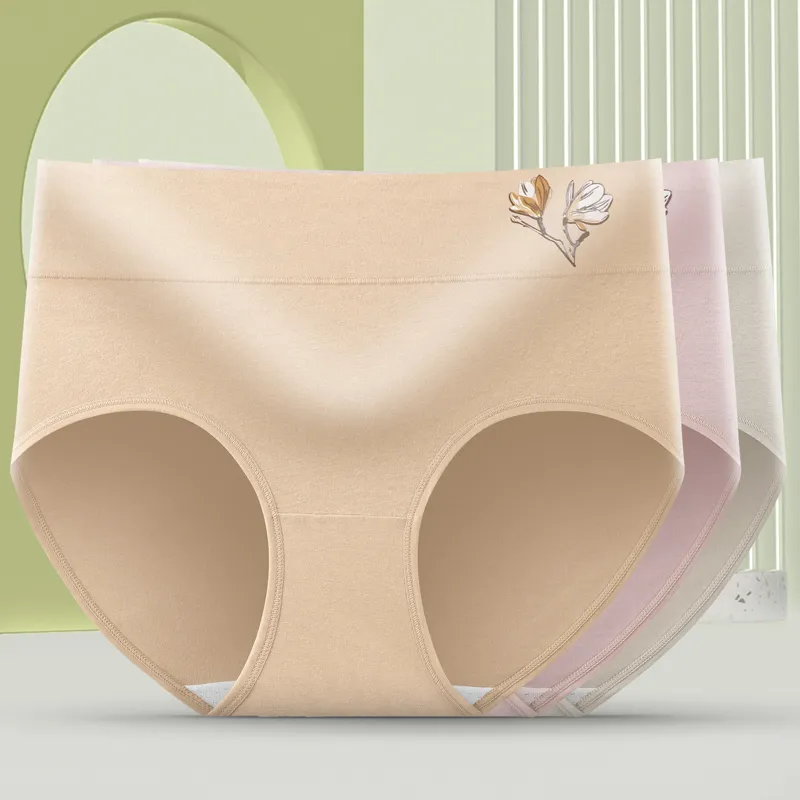 YUZHAOLIN Underpants Women's Combo Set-10