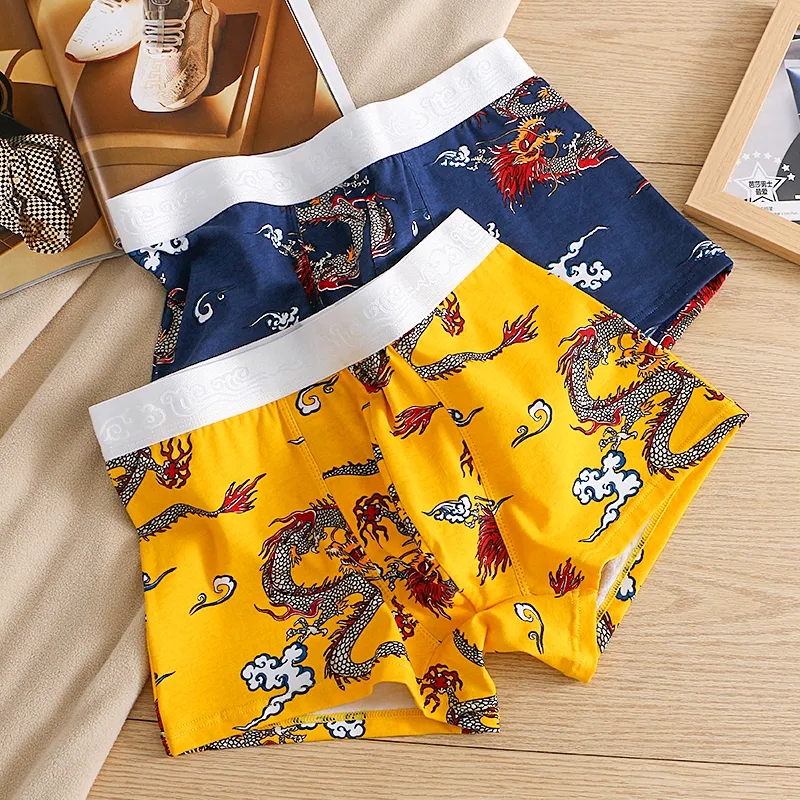 KJ Men Underpants-4