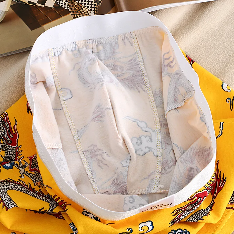 KJ Men Underpants-14