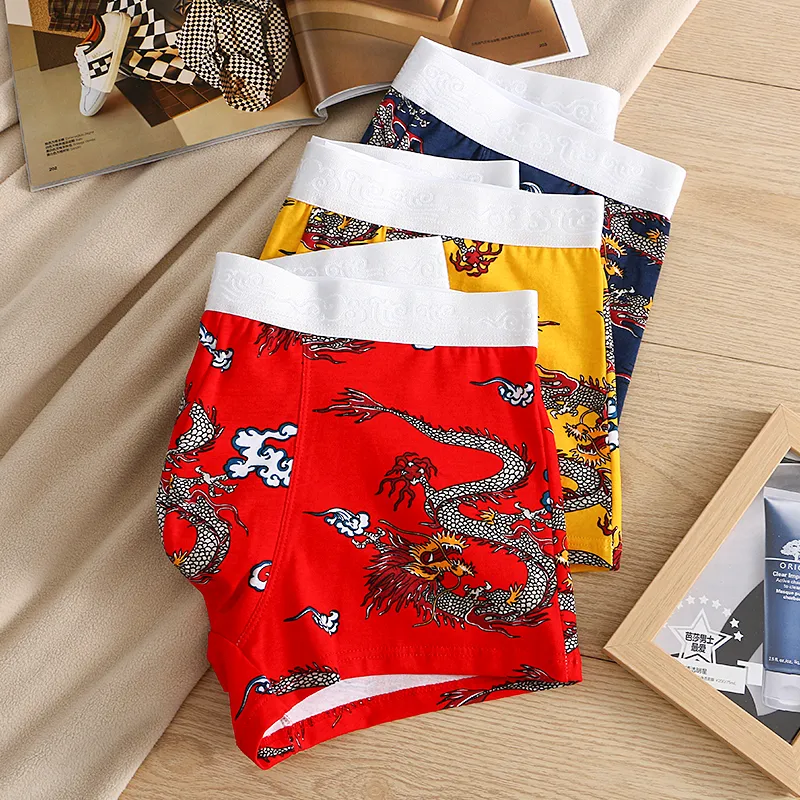 KJ Men Underpants-17