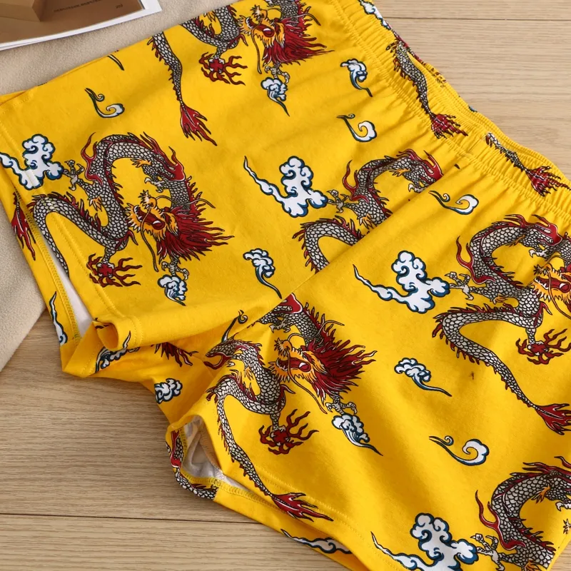 KJ Men Underpants-9