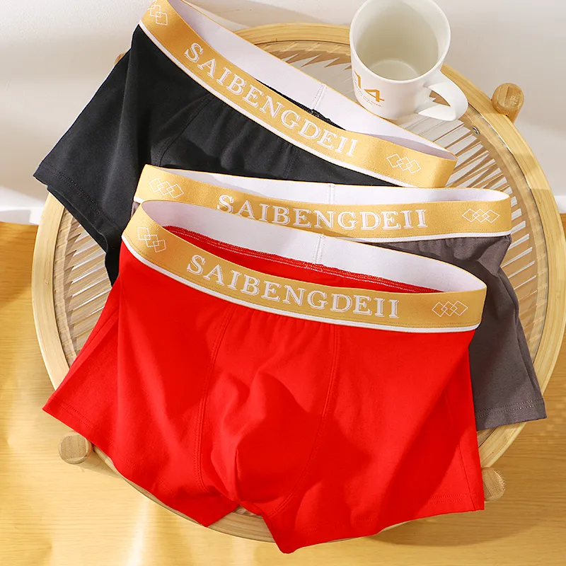 KJ Men Underpants-4