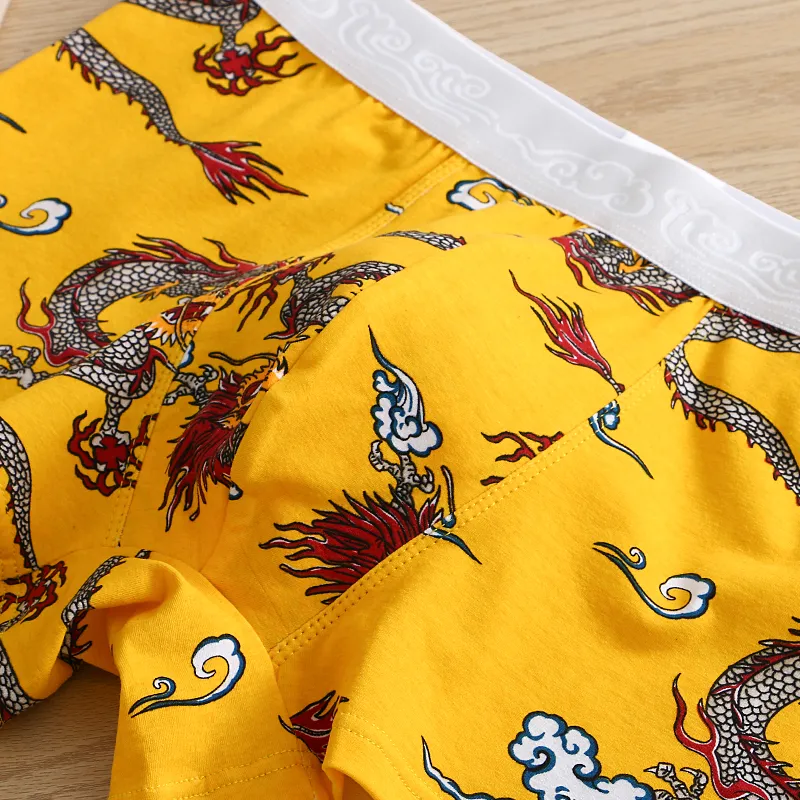 KJ Men Underpants-12
