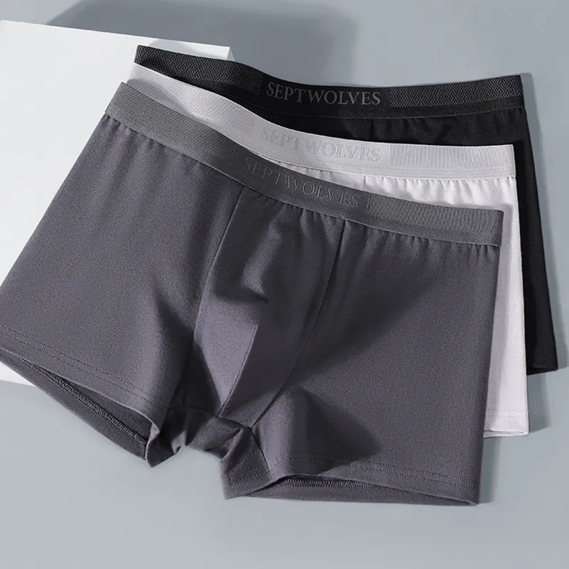SEPTWOLVES Underwear Gift Box Men's Box 3 Pack-5