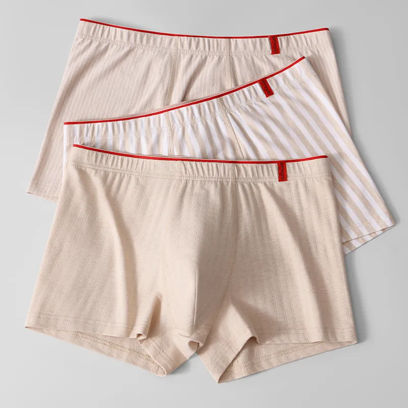 SEPTWOLVES Underpants Men's Box 3 Pack-5