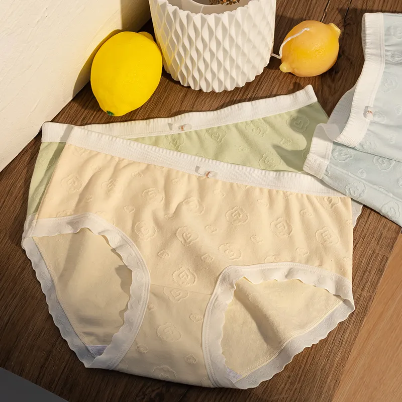 Ordifen Underpants Women's 3 Pack-1