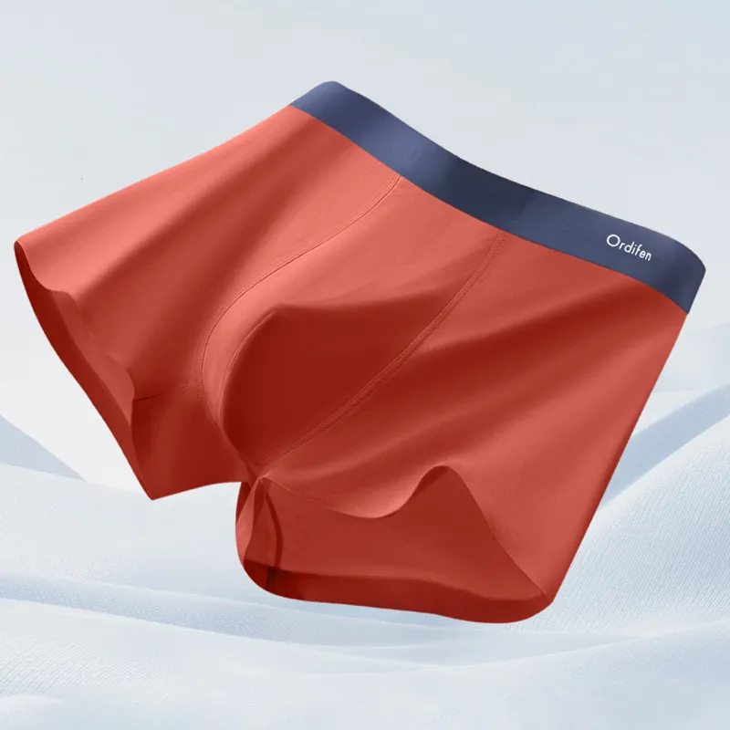 Ordifen Underpants Men's 4 Pants-11
