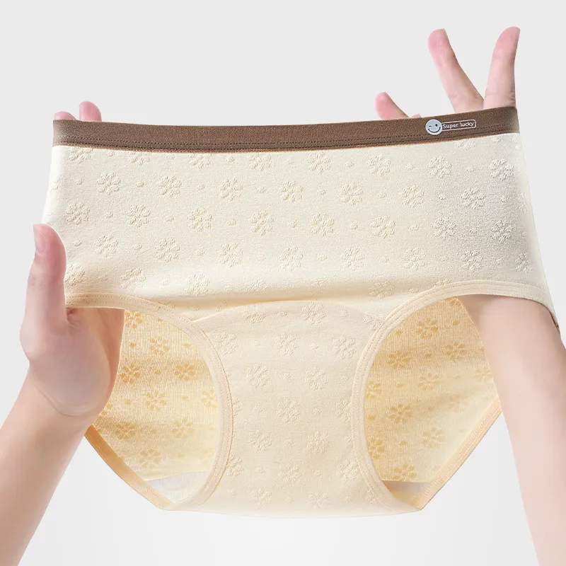 Ordifen Underpants Women's 3 Pack-31