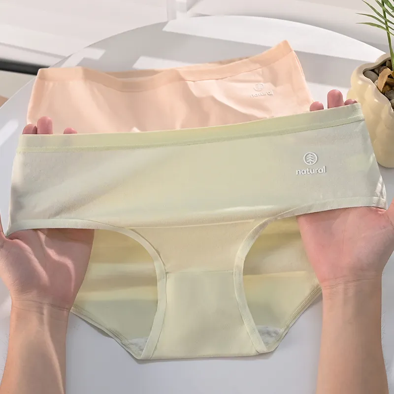 Close fitting Areas Underpants Women's 4 Pack-4