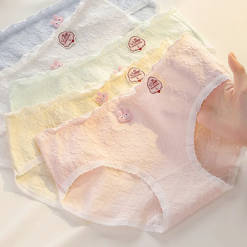 Close fitting Areas Underpants Women's 4 Pack-4