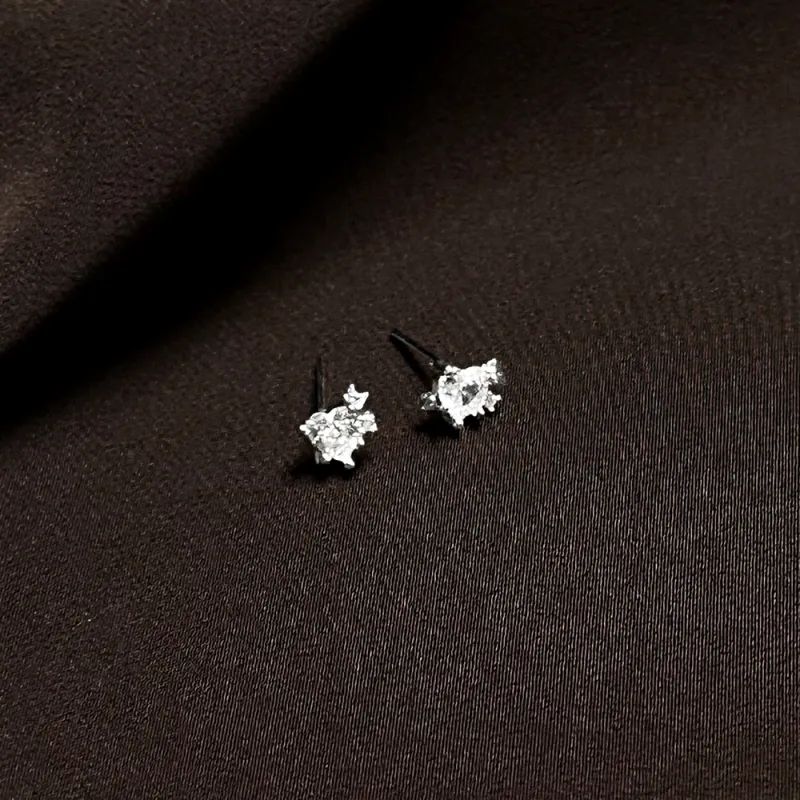 Anxious 925 Sterling Silver Needle Stud Earrings Women's-6