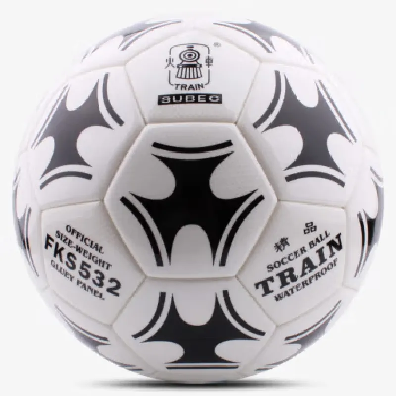 TRAIN Soccer-6