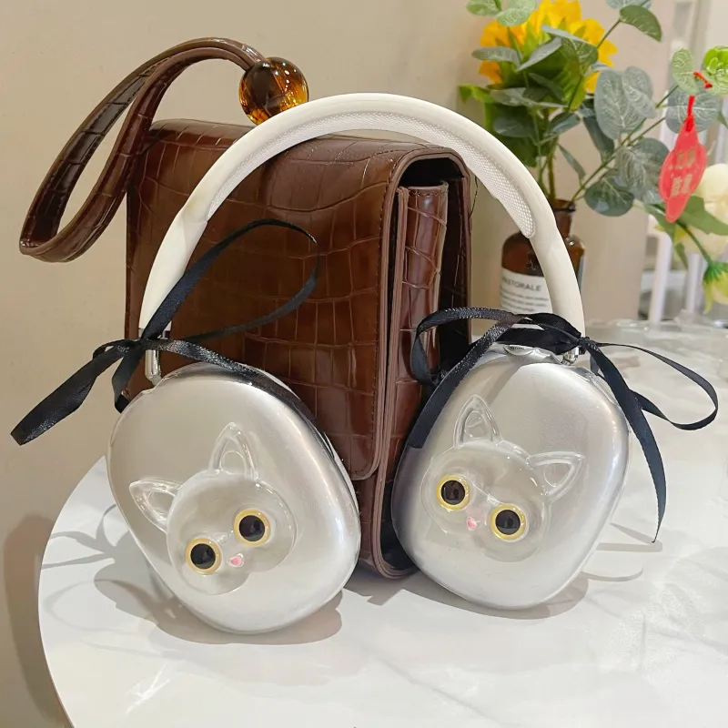 BZBN Headphone Cases-3