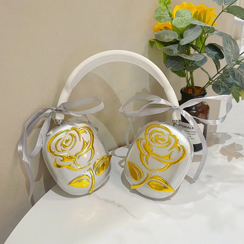 BZBN Headphone Cases-7