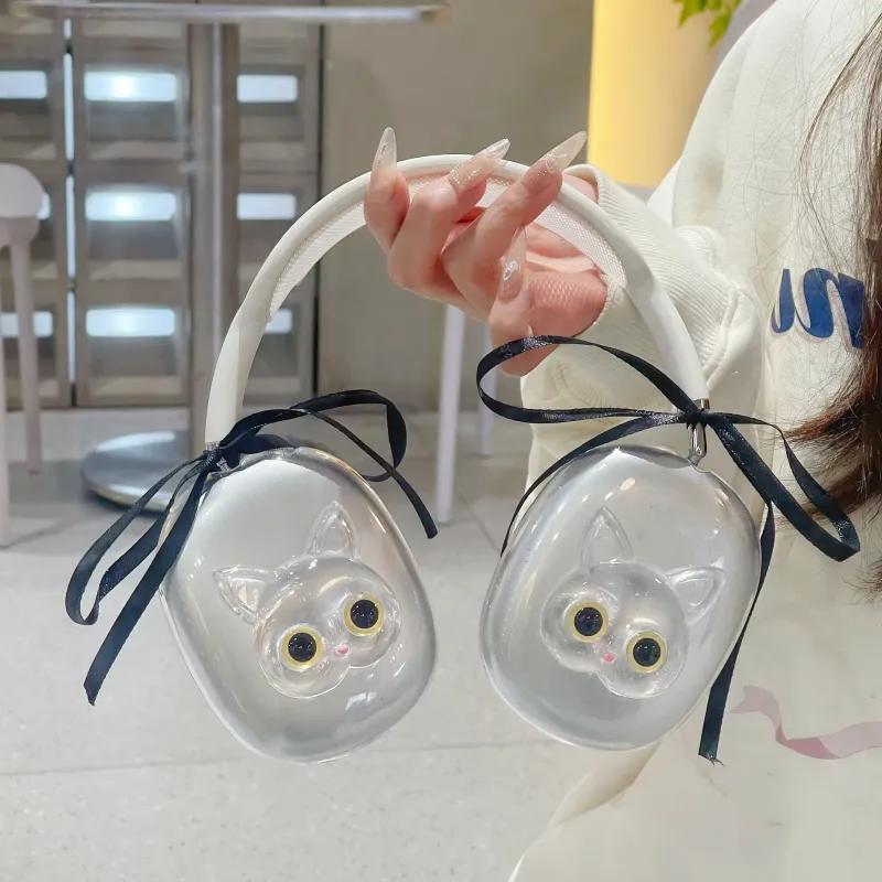 BZBN Headphone Cases-5