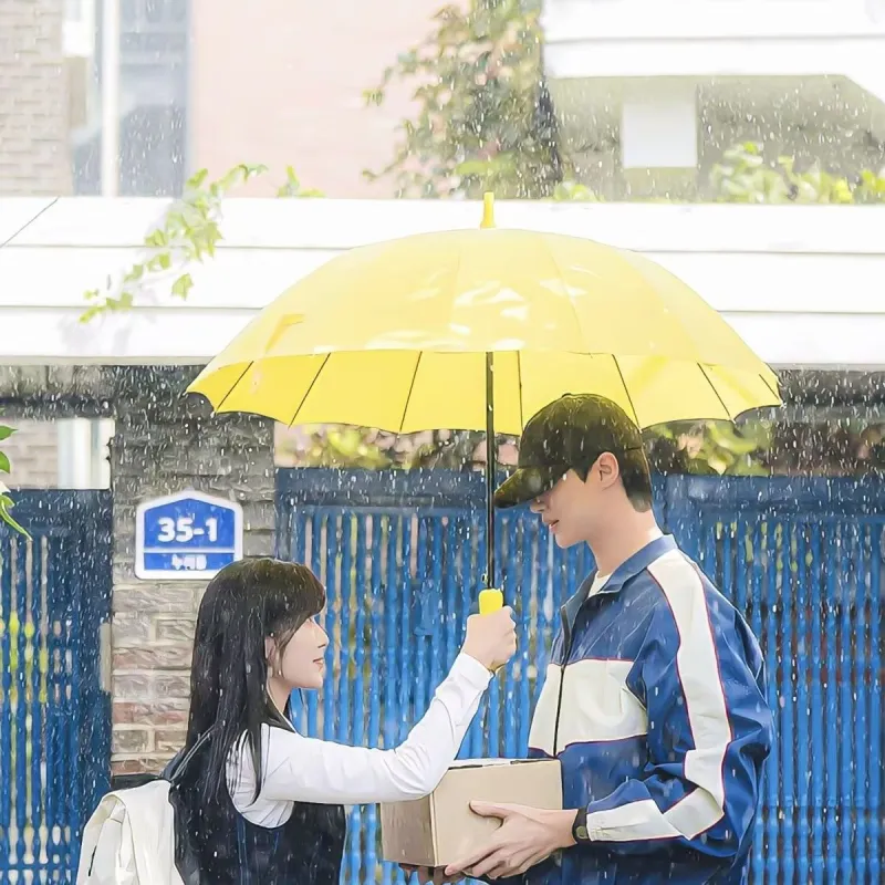 Snow bunches Umbrellas-2
