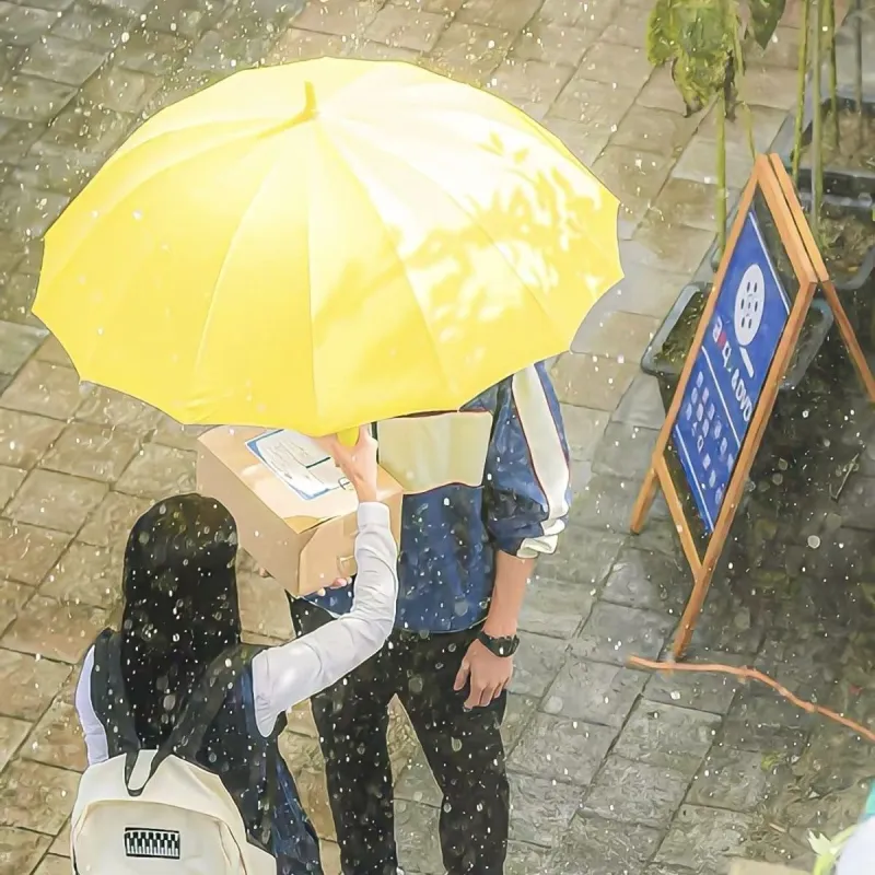 Snow bunches Umbrellas-1