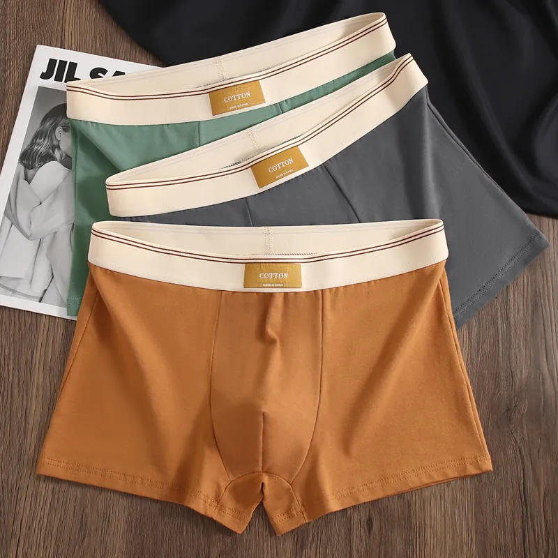 GOSO Underpants Men's Combo Set-12