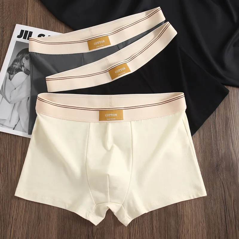GOSO Underpants Men's Combo Set-16