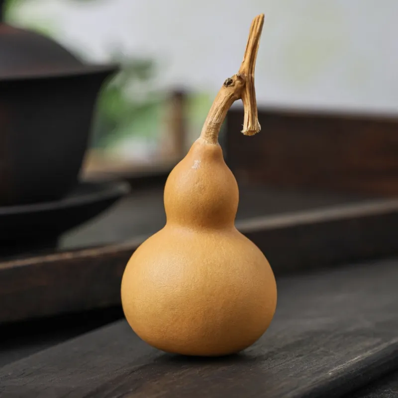 Ryukyu Gourd Handlebar Piece Unisex-17