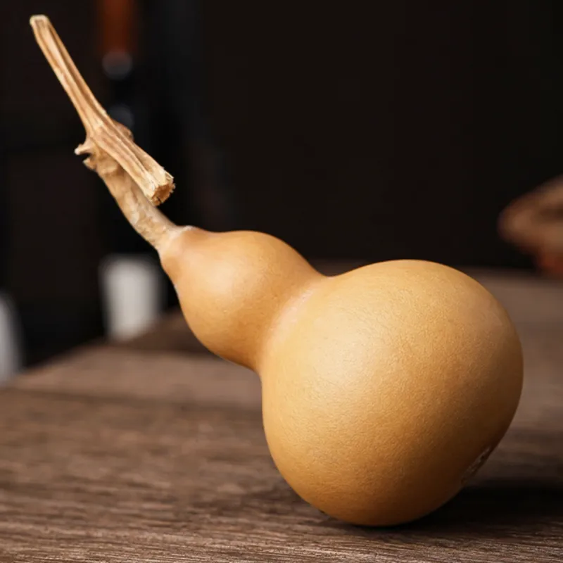 Ryukyu Gourd Handlebar Piece Unisex-16