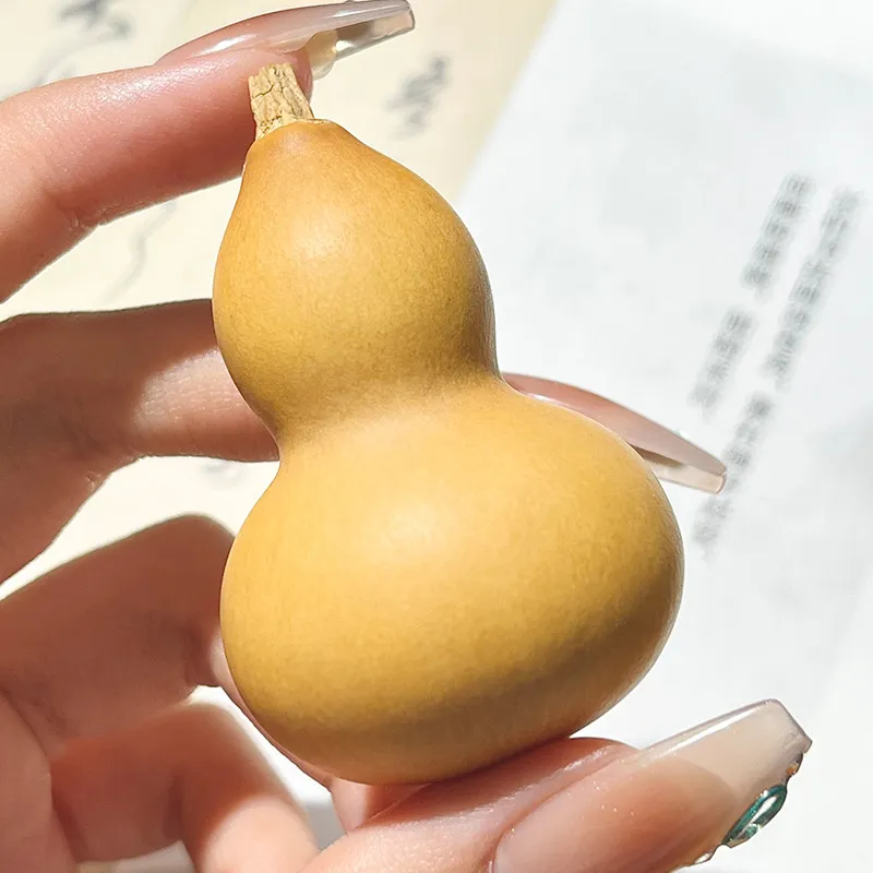 Ryukyu Gourd Handlebar Piece Unisex-18