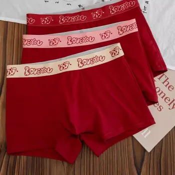 Maiden House Underwear Gift Boxes Men's 4 Pack