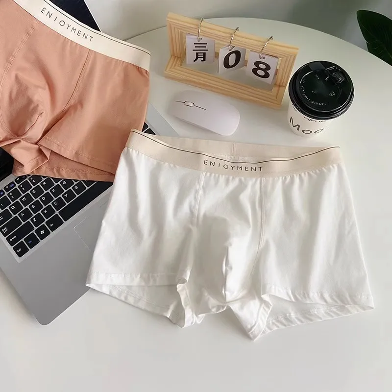 Maiden House Underpants Men's Box 4 Pack-2