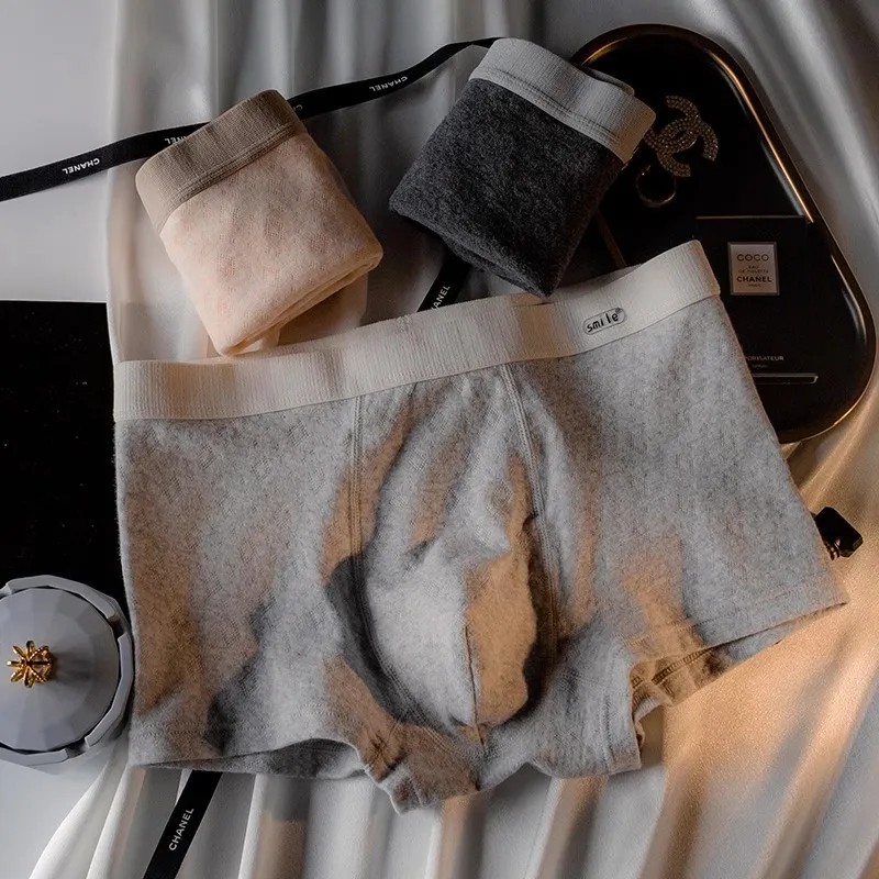 Maiden House Underpants Men's 6 Pack-5