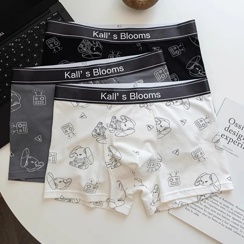 Maiden House Underwear Gift Box Men's Box 4 Pack-2
