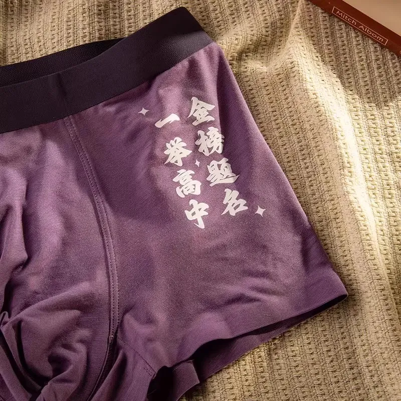 Maiden House Underpants Men's 3 Pack-1