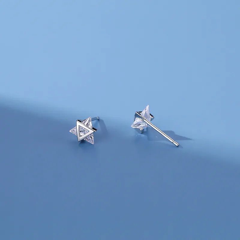 CENTURY&KINDLE S925 Silver Stud Earrings Women's-1